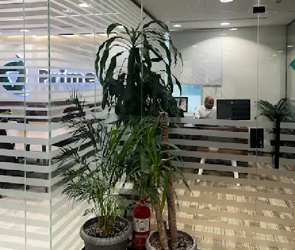 Prime Risks for Insurance Brokers