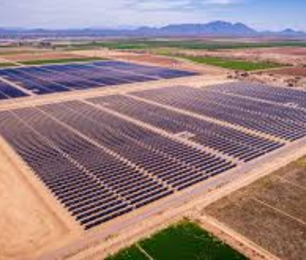 Emtyaz Solar Electa Solar
