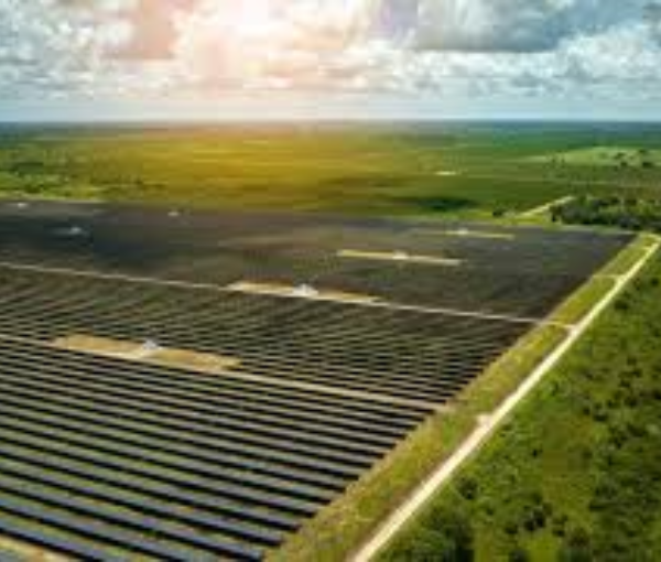 Emtyaz Solar Electa Solar