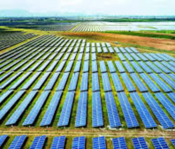 Emtyaz Solar Electa Solar