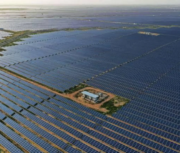Emtyaz Solar Electa Solar