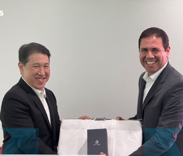 Advanced Energy System - ADES