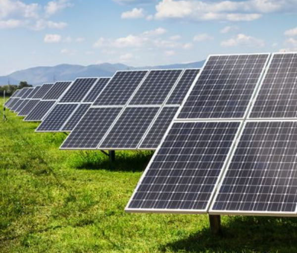 Zayel Solar