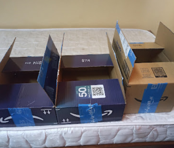 Beez Logistics
