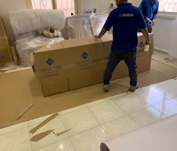 Aegis logistics and international movers
