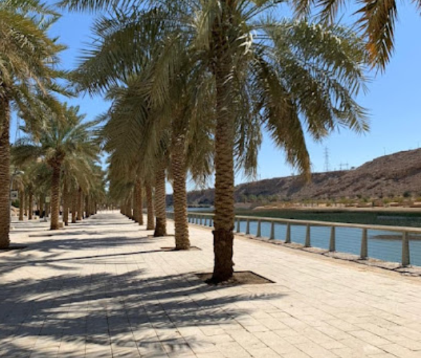Wadi Namar Waterfall