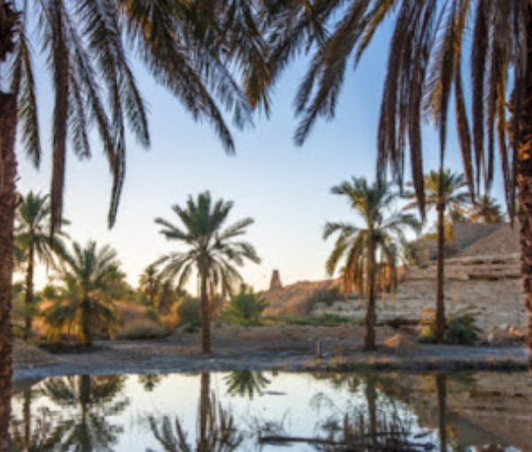 Wadi Hanifa Park