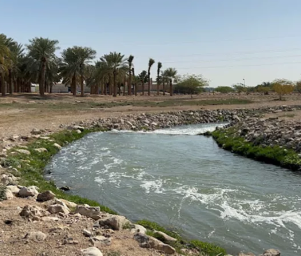 Wadi Hanifa Park