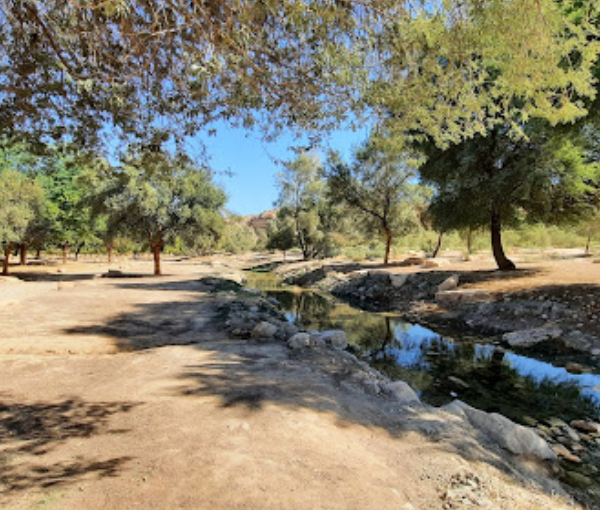Wadi Hanifa Park