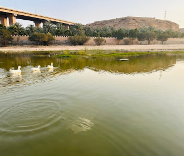 Wadi Hanifa Park