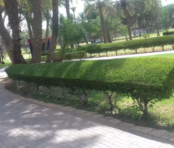 Salam Park