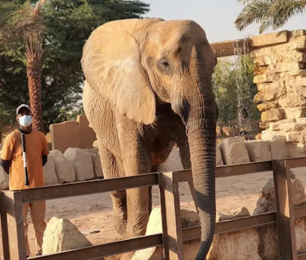 Riyadh Zoo