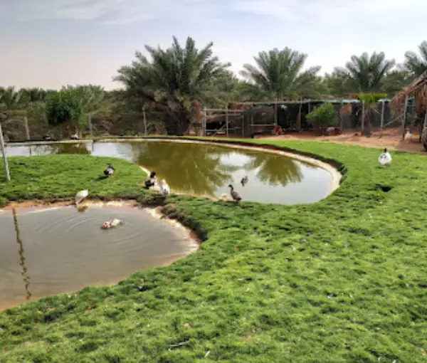 Nofa Wildlife Park