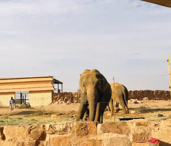 Nofa Wildlife Park