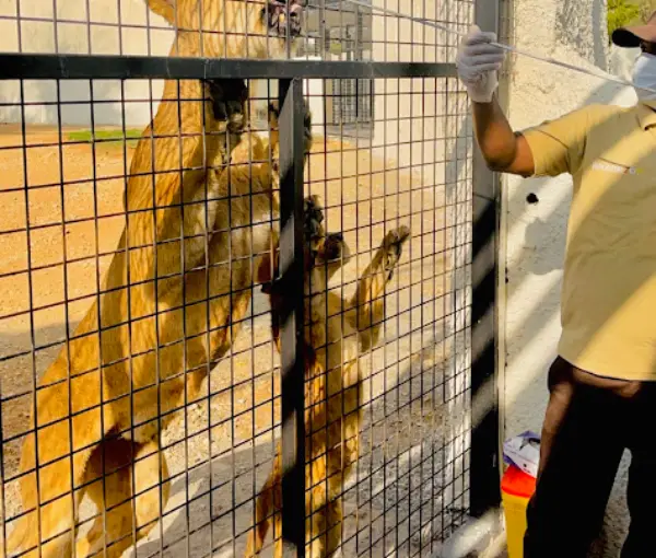 Riyadh Zoo