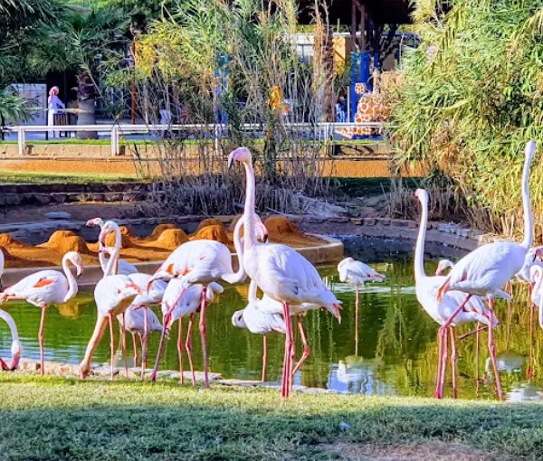Riyadh Zoo