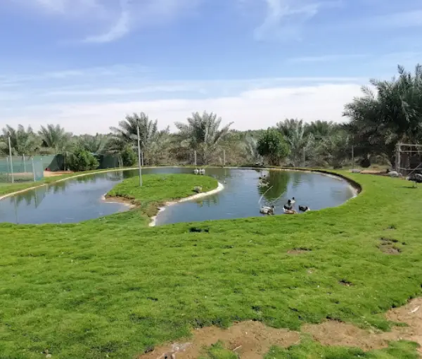 Nofa Wildlife Park
