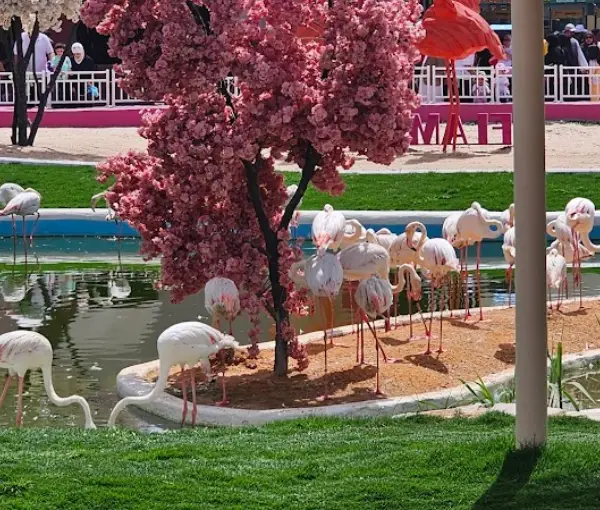 Riyadh Zoo