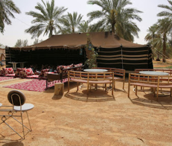 Palm Lands Tours