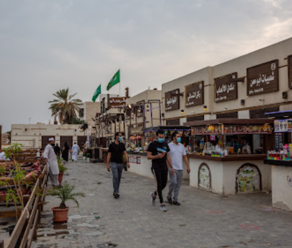 Palm Lands Tours